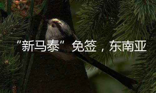 新马泰加强人员往来