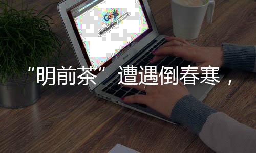 本年度气候较为异常