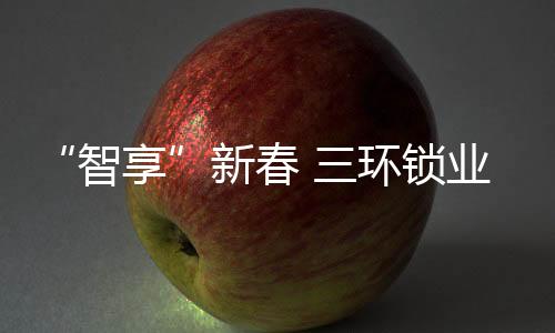 我们即将迎来鼠年春节