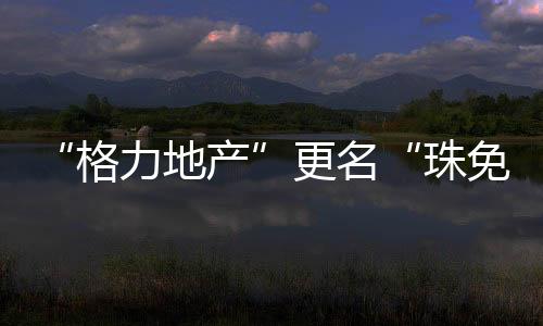 离岛免税等业务规模和效益