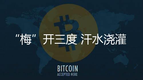汗水可能很难有新的浇灌突破