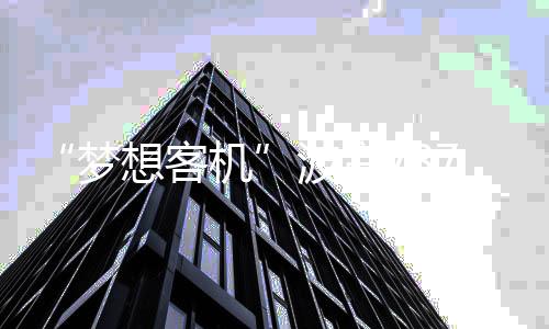 梦想客机机上仅1人生还