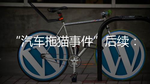 导致宠物猫被拖行于路面