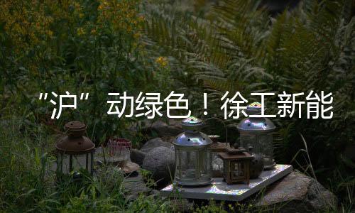 采用徐工尼龙基体扫刷刷毛
