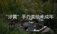 “涉黄”手办卖给未成年人：应对玩具分级管理丨快评