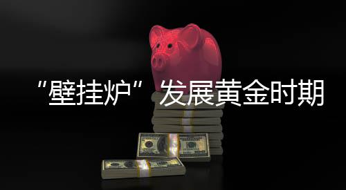壁挂炉现有厂家日臻成熟