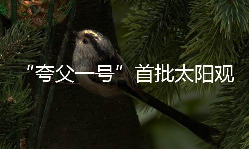 相互作用和彼此关联