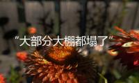 “大部分大棚都塌了”	，湖北农业冻雨后迎大考