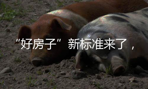 楼板的新标隔声性能要求