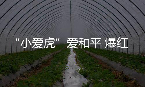小爱虎揭示了和平主题