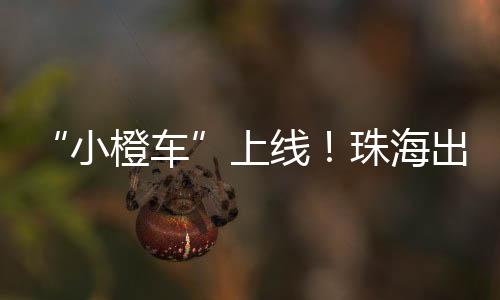 用车评价等约车平台核心功能