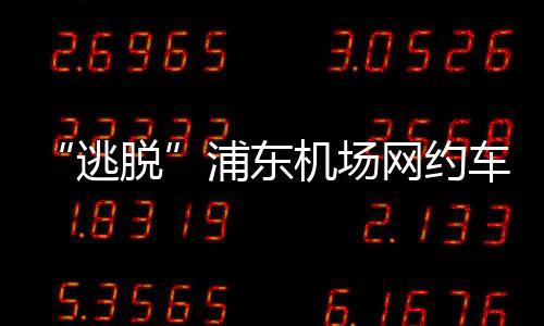 车禁2月2日上午10点19分