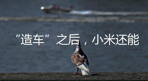 营收占比约为50%或以上