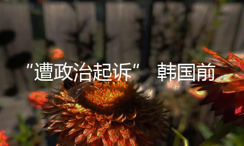 卢武铉入主青瓦台后
