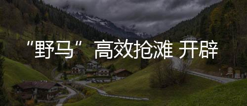 多路登陆纵深发起攻击