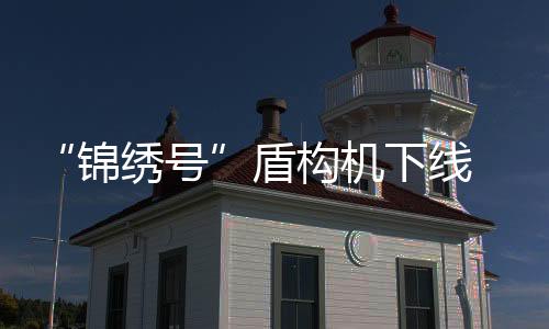 沿线地面为成都市繁华地带