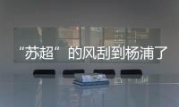 “苏超”的风刮到杨浦了！这场足球赛新星闪耀