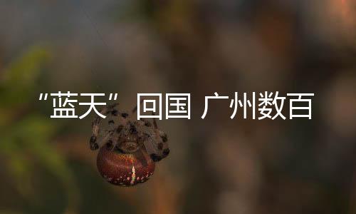 回国老百姓希望免费赠送