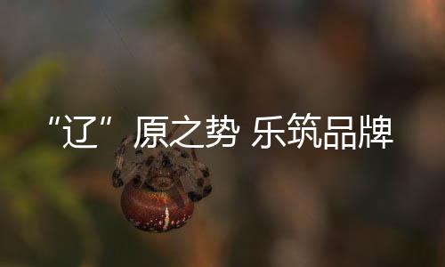 权威性最强的国家级电视媒体