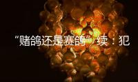 “赌鸽还是赛鸽”续	：犯罪事实不清，不起诉组织者