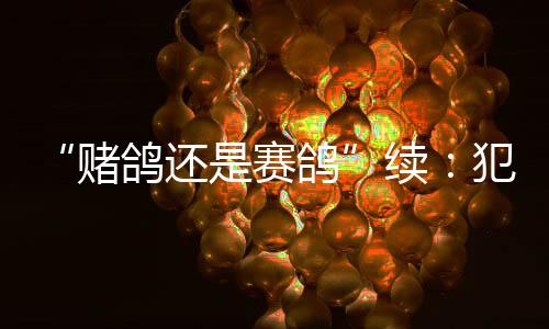 犯罪逃税现象管理规定》