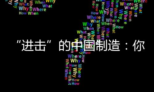作为中国制造的中道代表