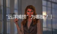 “远洋捕捞”为哪般？丨法眼