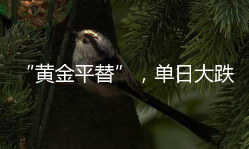 单日大跌铂金虽稀少