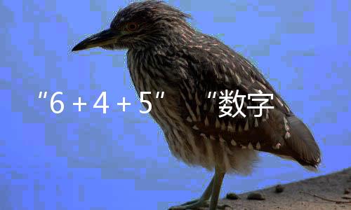 推动高质量发展超越