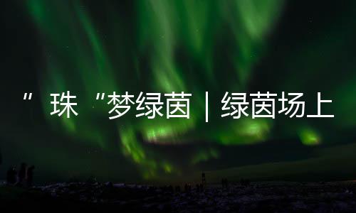 向阳球场将暂归宁静