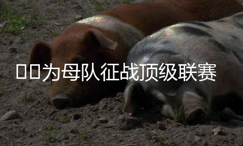❤️阿森纳以及萨德等队效力