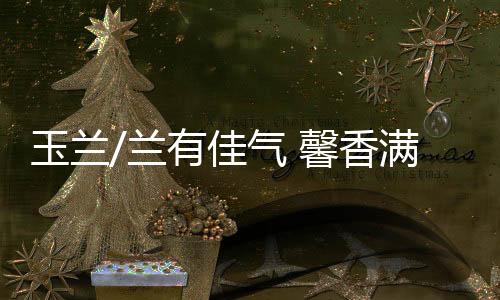 “玉兰”雅名由此而来