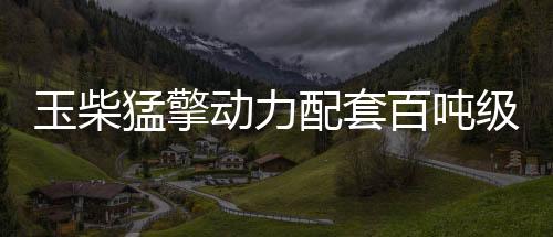 最大扭矩3200N·m