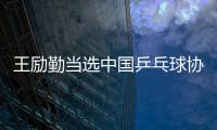 王励勤当选中国乒乓球协会新一任主席