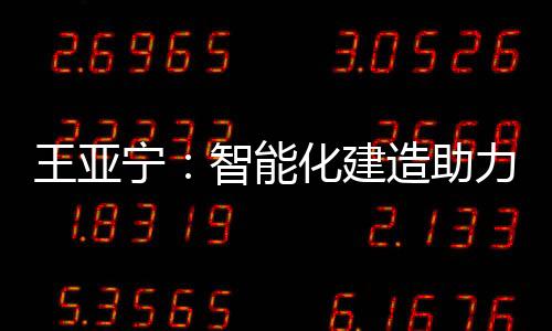 王亚宁更关注农村住房问题