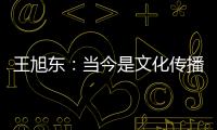 王旭东	：当今是文化传播的最好时代