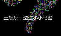 王旭东：透过小小马镫 可知文明不同