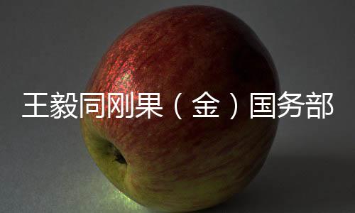 部长巴举数字等领域合作