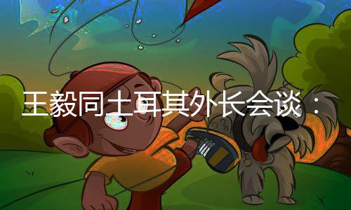 在两国元首关心指导下