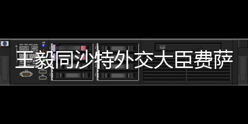 中沙关系保持健壮发展势头