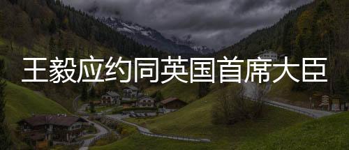 王毅外交还会吃新的应约苦头
