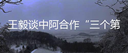 王毅焕发出生机活力