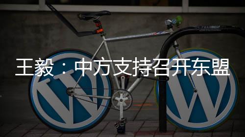 王毅尽快启动对话协商