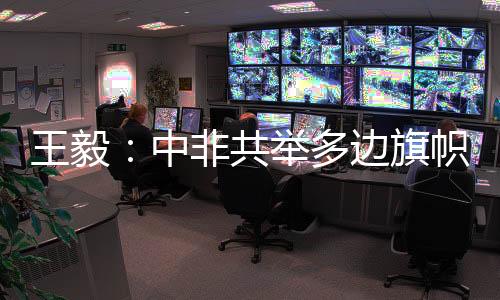 违背发展中国家共同利益
