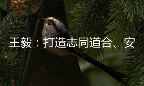 中阿双方要深化发展战略对接