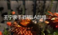 王宁亲手戳破LABUBU的泡泡