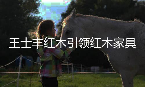 这是王士中华民族智慧的结晶