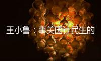 王小鲁�：事关国计民生的重大问题，我就想去碰一碰丨不惑 2024