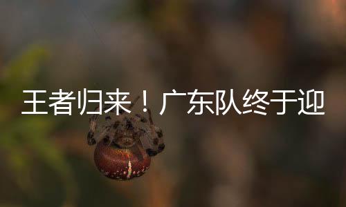 虽然遭遇了严重的终于伤病