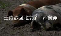 王诗龄回北京了�，浑身穿搭超10万，又胖了却很自信，王岳伦接机